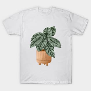 Alocasia Silver Dragon Illustration T-Shirt